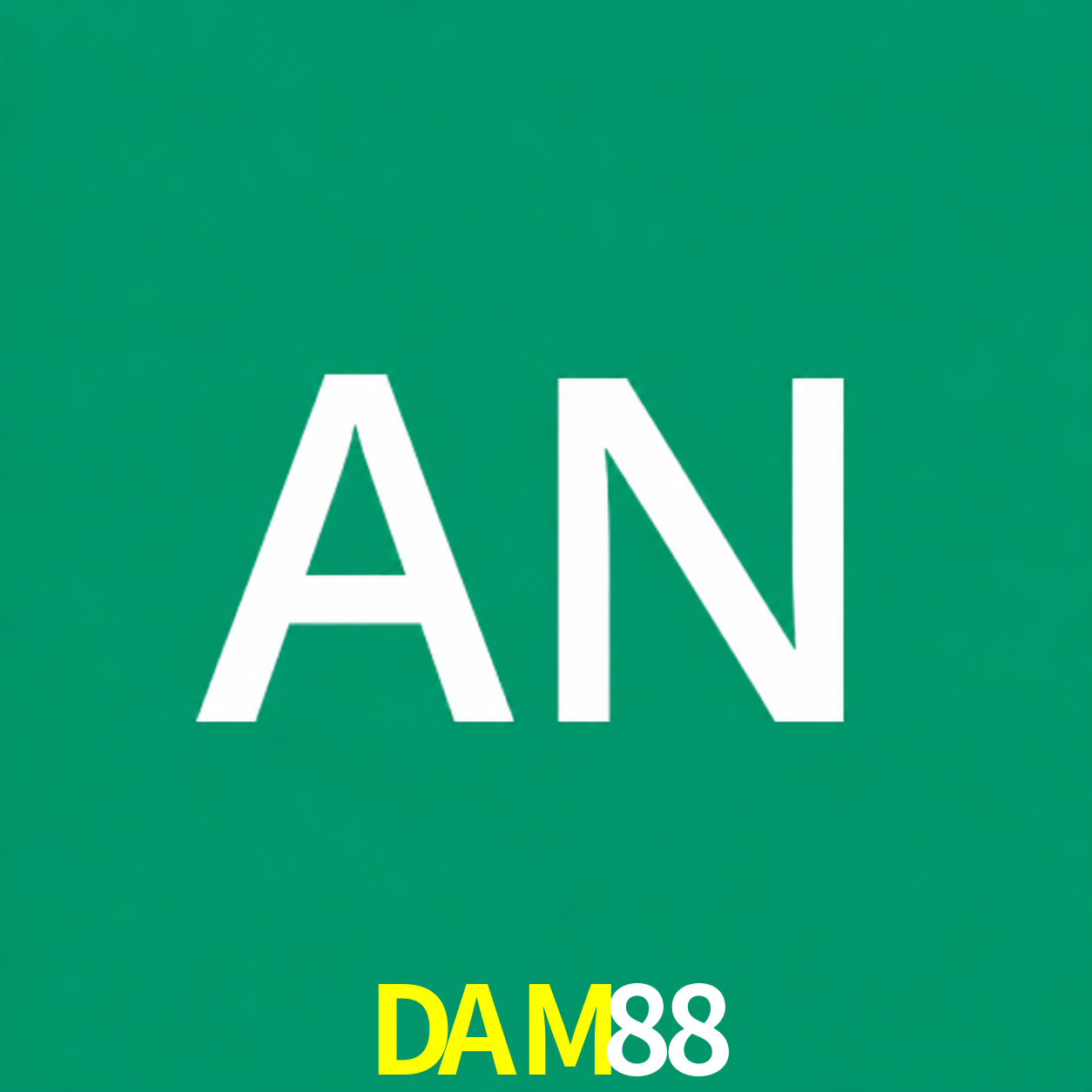 Adi Nugroho - Founder & CEO DAM88 Indonesia